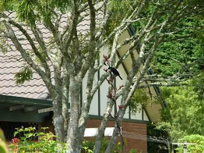 Clover Downs Homestead 罗托鲁阿